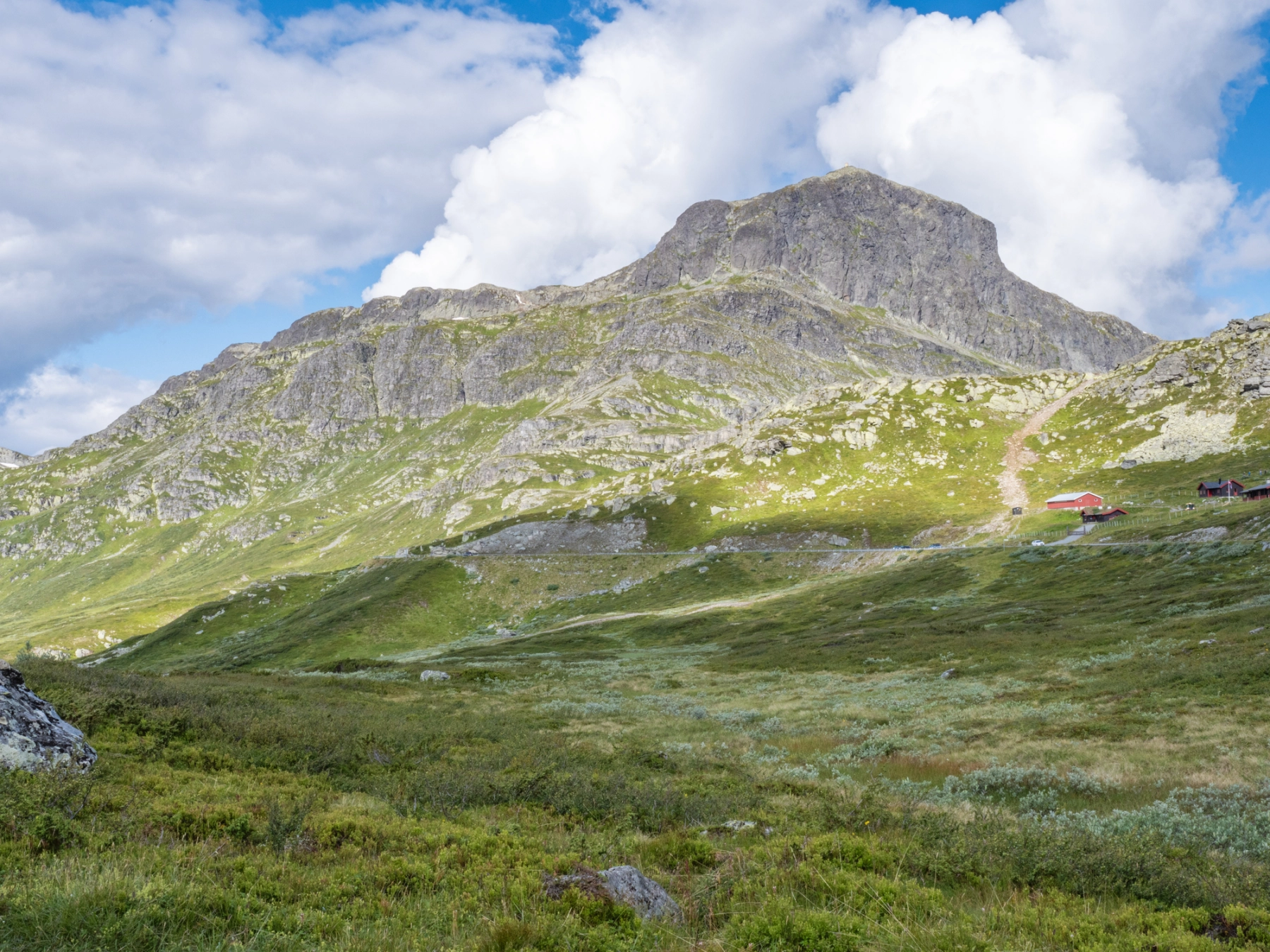 A Messink-1738768875.jpg