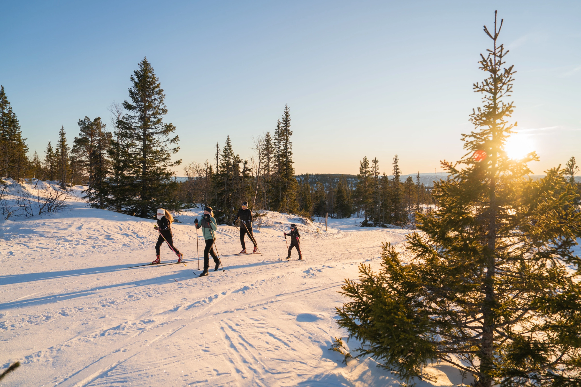 Norefjell cross-skiing.jpg